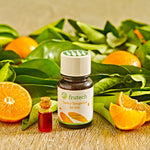 Frutech presentation