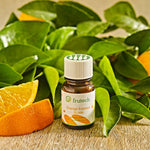 Frutech presentation